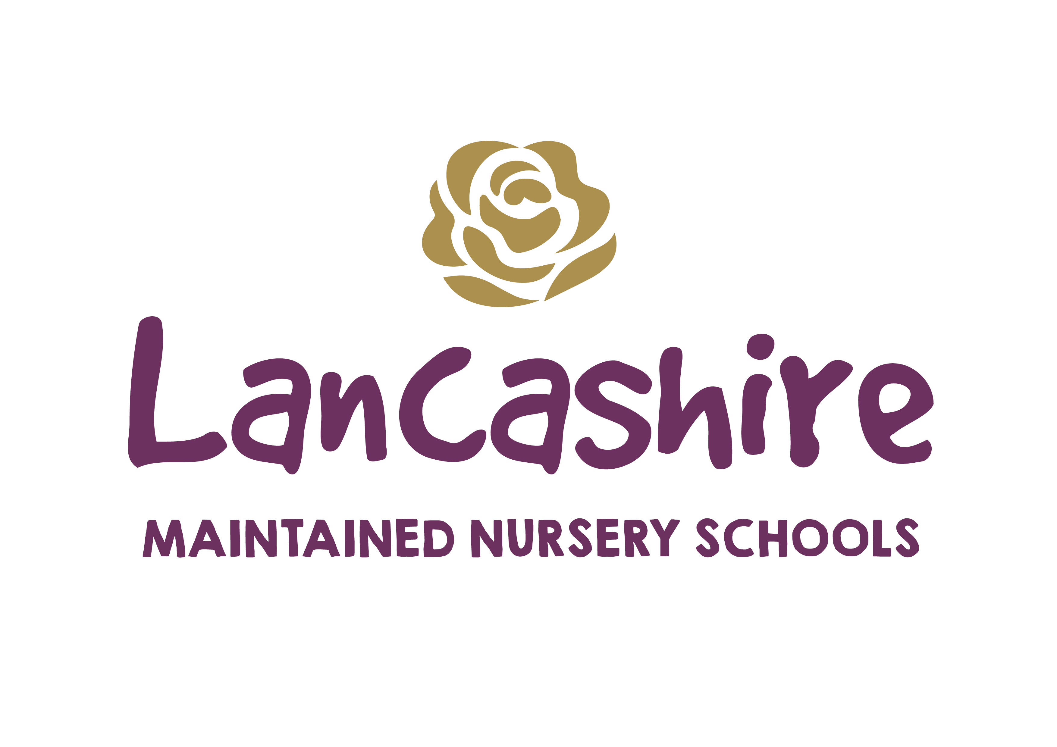 LMNS Logo