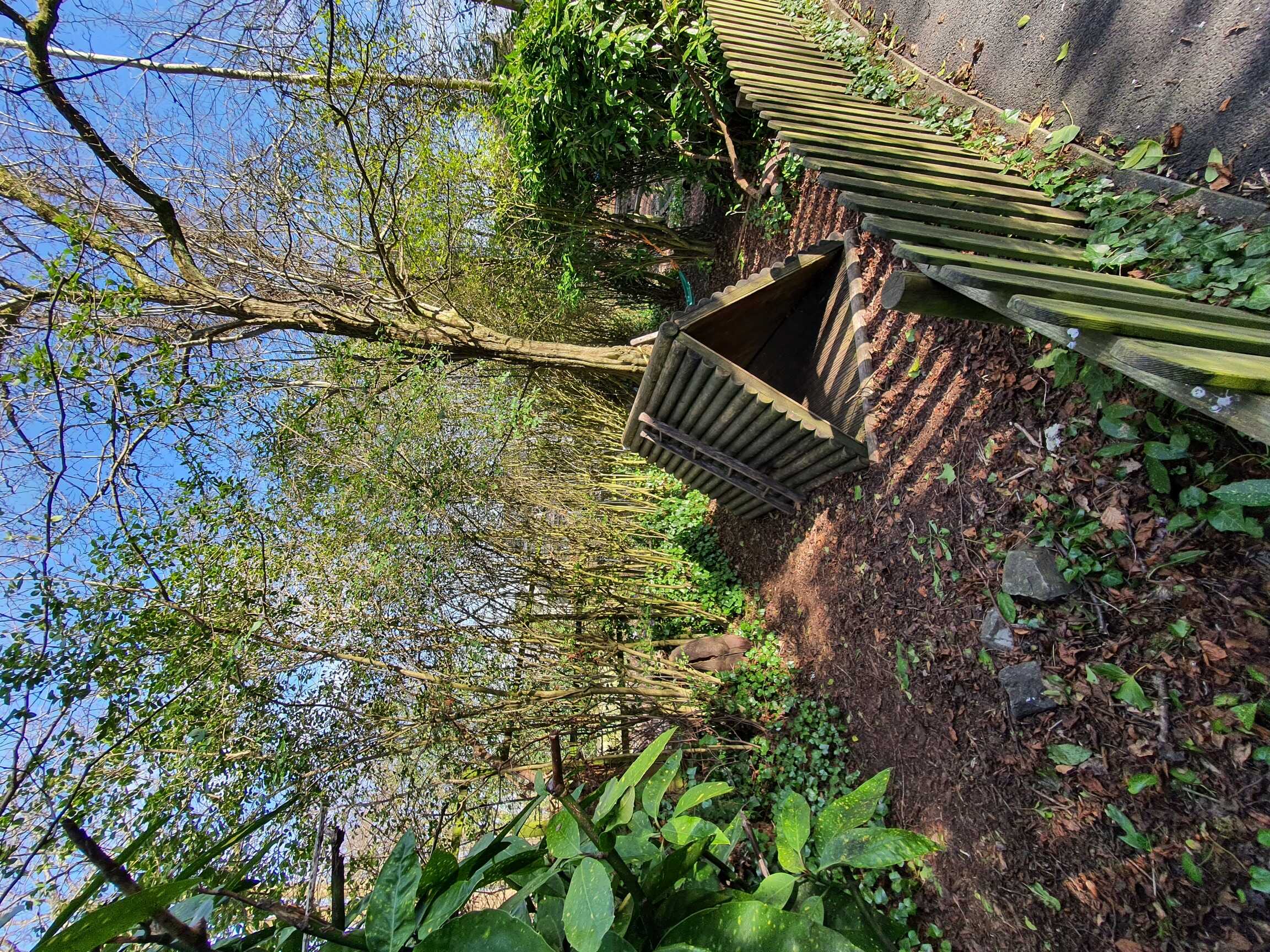 ForestSchool2-lo.jpg-50.jpg