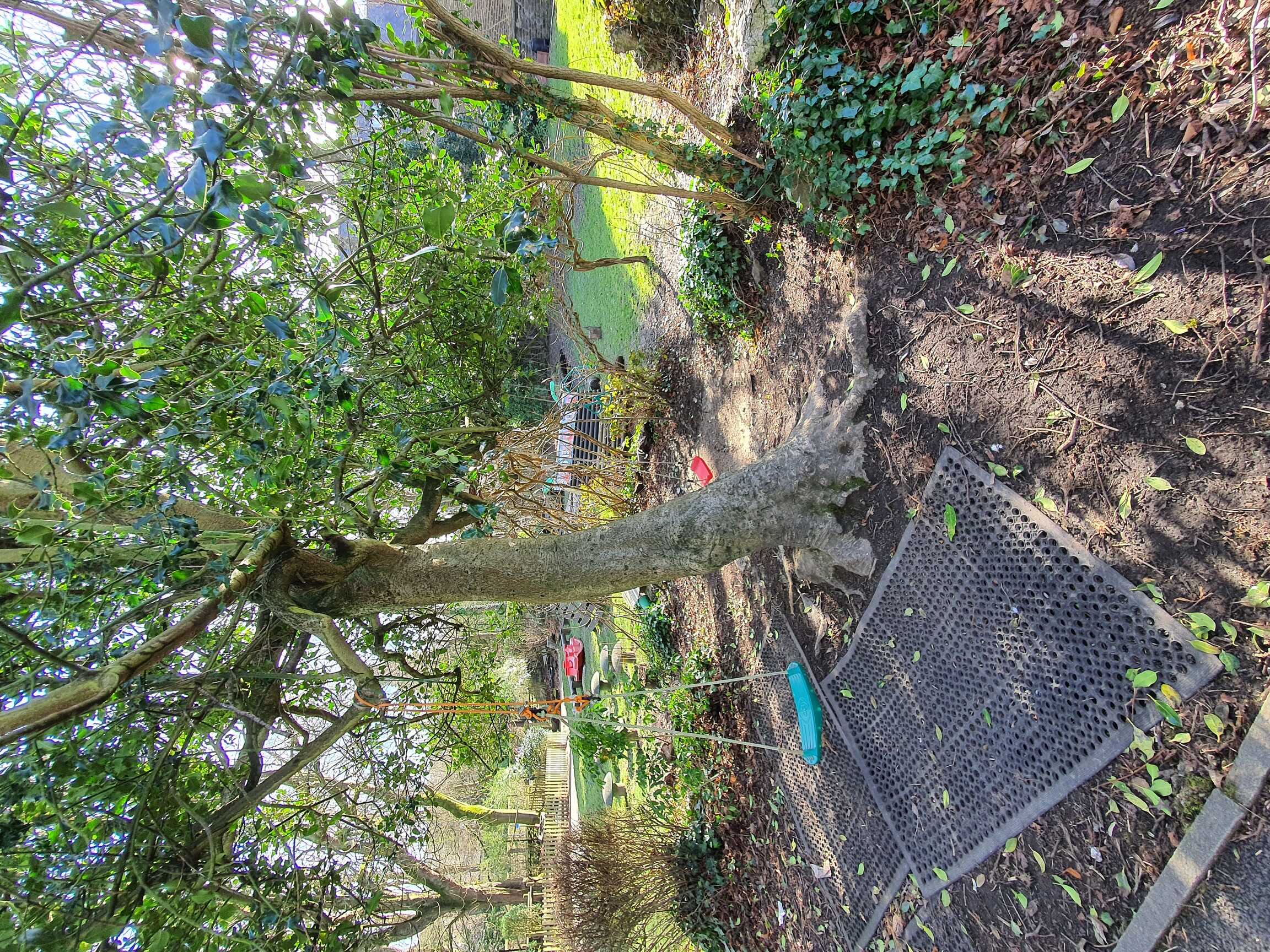 Front_Garden_swings-lo.jpg-50.jpg